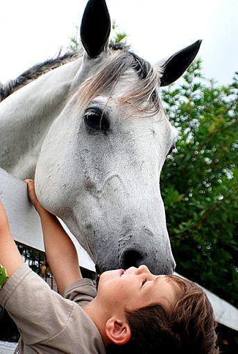 Horse Play-horsekiss640.jpg