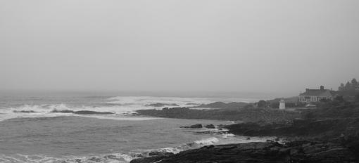 Fogged In-dsc_6791.jpg