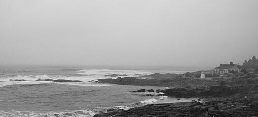 Fogged In-dsc_6791.jpg