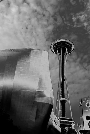 space needle and emp-dsc_0001edited.jpg