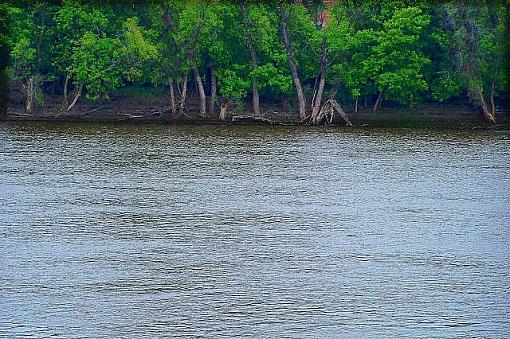 Along the Banks of the Red River-rrshore1asm.jpg