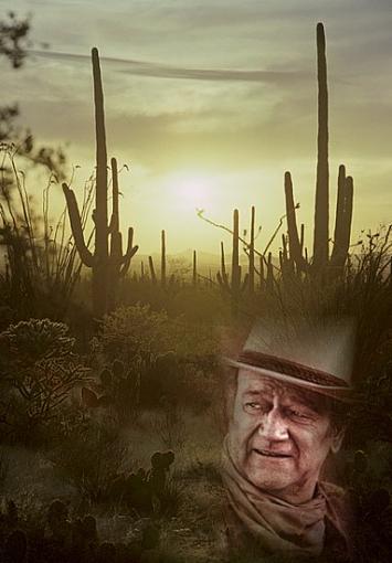 A Walk Through the Enchanted Desert-tucsondesert1_1_1expt1.jpg