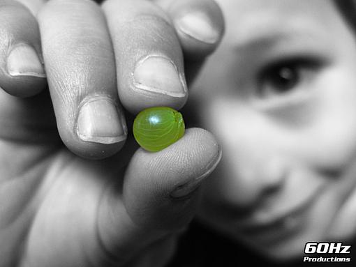 Smallest Grape?-smallgrape-002.jpg