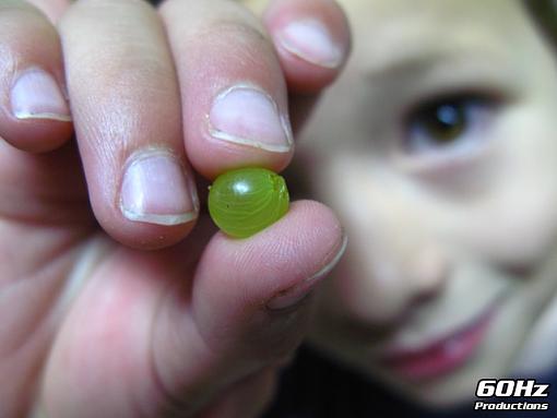 Smallest Grape?-smallgrape-002-original.jpg