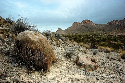 from Big Bend-328755773_1ee7ed6e8f_o.jpg