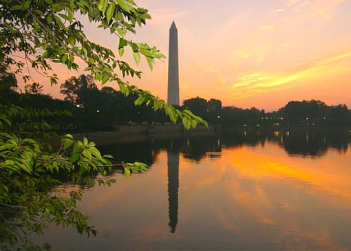 4 Seasons of the Tidal Basin-tb002-summer.jpg