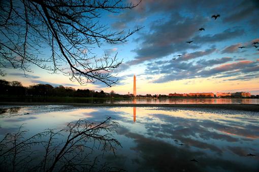 4 Seasons of the Tidal Basin-tb003-fall.jpg