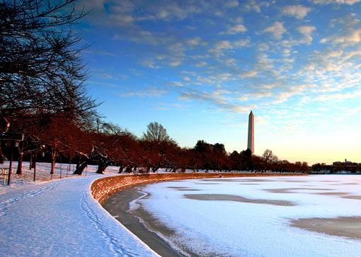 4 Seasons of the Tidal Basin-tb004-winter.jpg