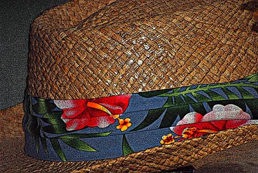 straw hat-dsc_0086-copy2r.jpg