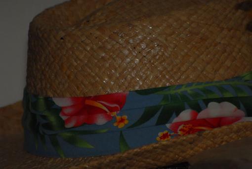 straw hat-dsc_0086-copy9.jpg