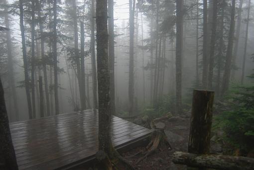 Foggy Tent Platform-foggy_tent_platform_800.jpg