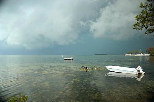 Key Largo Bird Sanctuary-img_4442.jpg