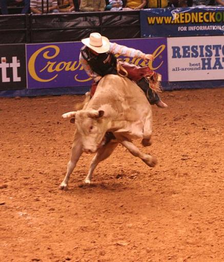 Championship Bull Riding-wicked-twistd-ride.jpg