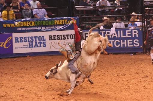 Championship Bull Riding-almost-perfect-position.jpg