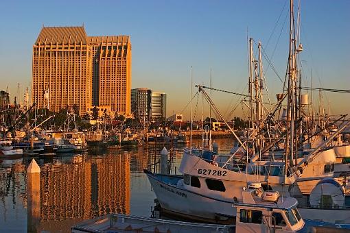 San Diego Evening-san-diego-evening-uncropped.jpg