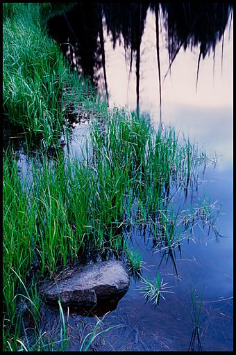 Black Lake Shoreline-black-lake-shorline_small-2.jpg