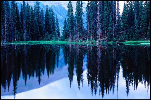 Another shot from Black Lake-black-lake-reflection-small.jpg