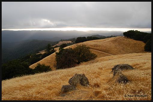 Santa Cruz mountains-long-ridge-open-space-preserve-sep-07-.jpg