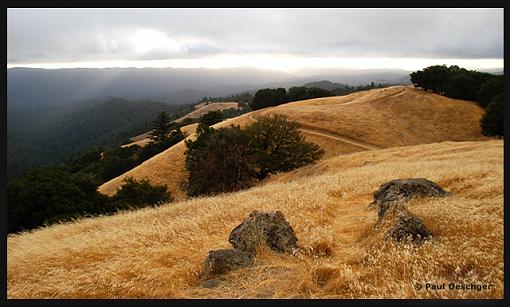 Santa Cruz mountains-long-ridge-open-space-preserve-cropped-sep-07.jpg