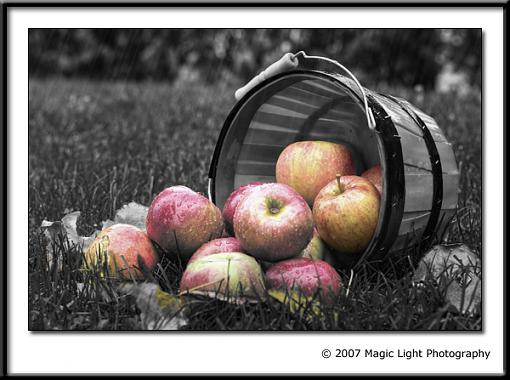 Apples in the rain-crw_0692.jpg