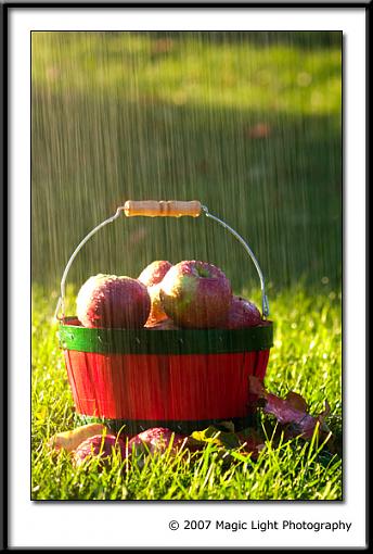 Apples in the rain-crw_0865.jpg