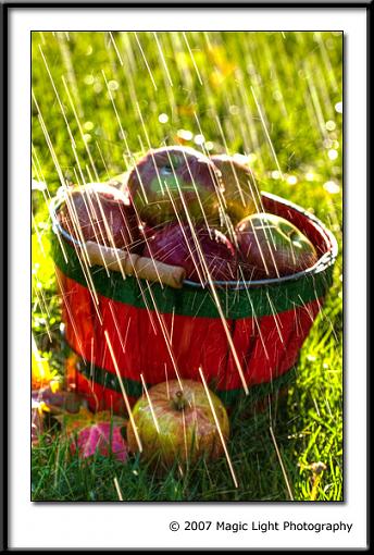 Apples in the rain-crw_0906.jpg