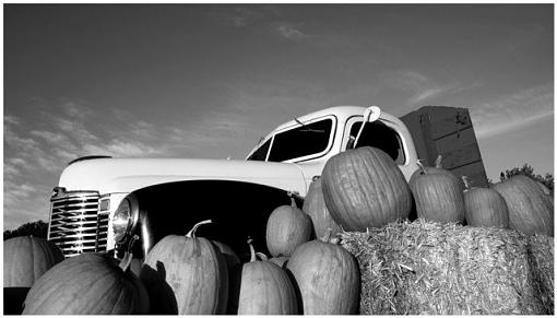 Harvest-harvester-bw.s.jpg