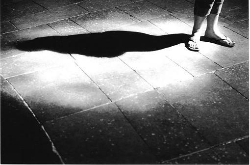 Shadow-shadow-cantaberry.jpg