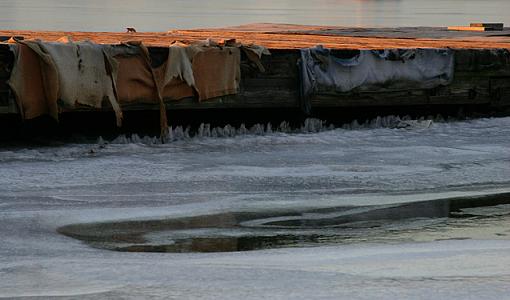 charles river dock-river_dock_padding_crop3_lowres.jpg