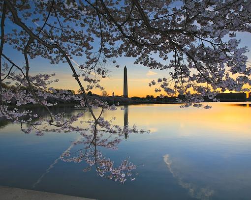 Cleaning up some Cherry Blossom trash.-001-052.jpg