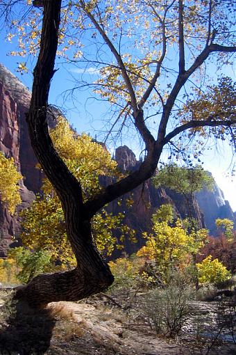 Zion ...-zion07_2_px640.jpg