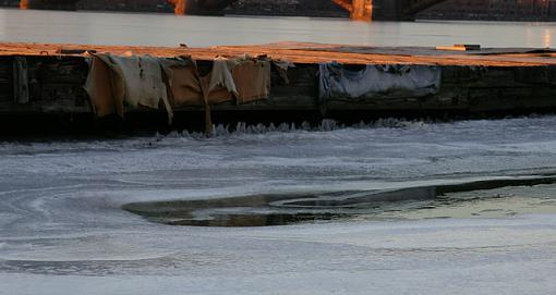 charles river dock-river_dock_padding_2_lowres.jpg