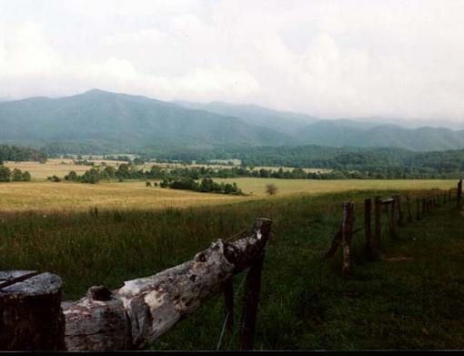 Cades Cove...-cadescovealo.jpg