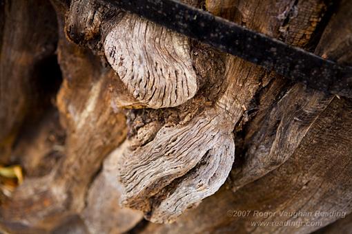 Knotty-_mg_3779-640.jpg