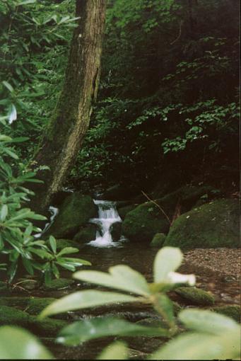 Little waterfall-cosbynaturetrail1.jpg