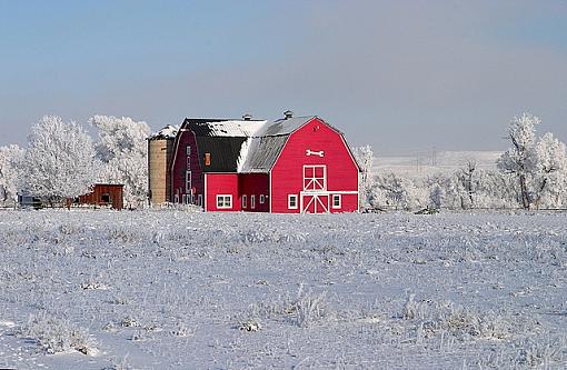 Ice fog-10d-2513_2.jpg