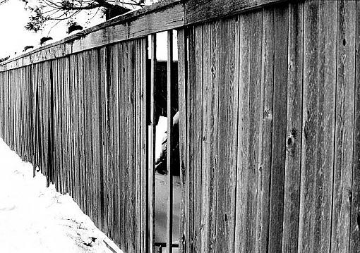 Hole in the Fence-holeinfencesm.jpg