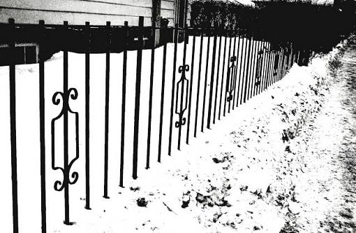 Neighborhood views-metalfencesm.jpg