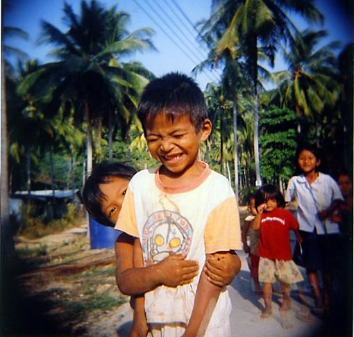 Tickle, beach rocket and a peacock - Holga-paradiso_2.jpg