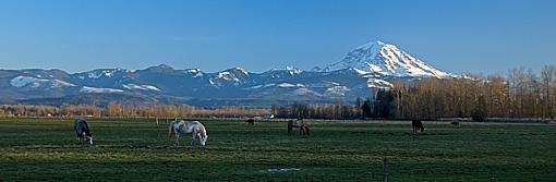 pastoral scene-pastoral-scene-2.jpg