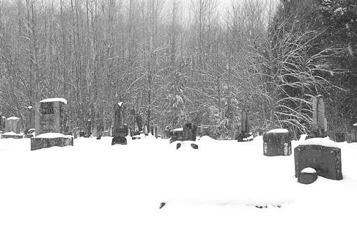 snowy graves-dsc_0004-004-small-.jpg