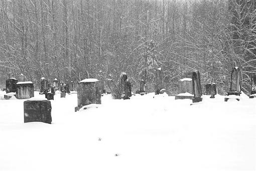 snowy graves-dsc_0006-006-small-.jpg