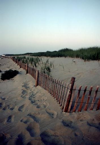 Color Makes a Difference-oc_beach1_1_px640.jpg