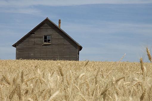 Bunkhouse in Wheat Field-barn_02.jpg