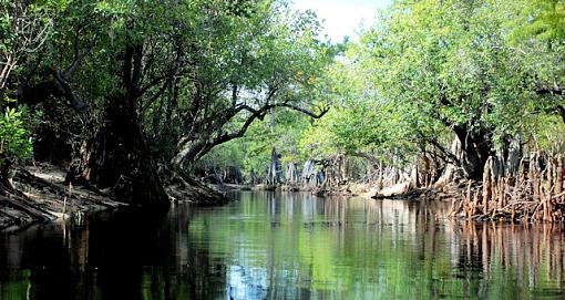 suwannee river-083.jpg