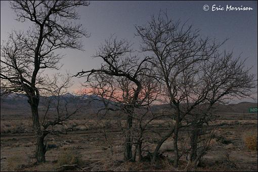 Sony A700  - trees, sky and hills-dsc01769.jpg