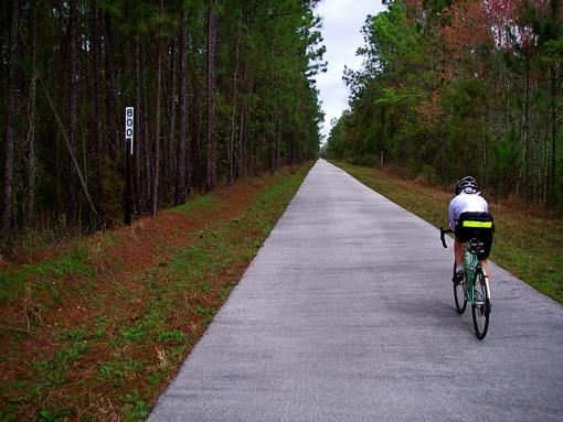 Riding in Florida #3-002.jpg