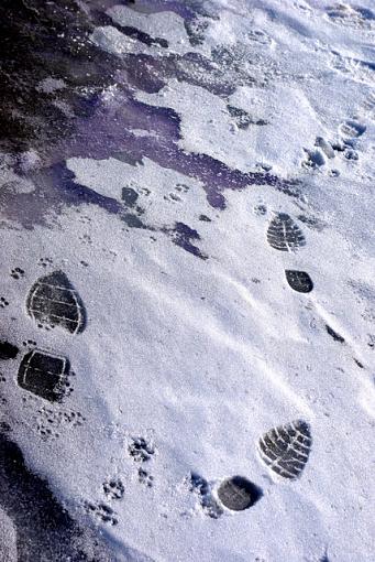 still cold-footprints.jpg