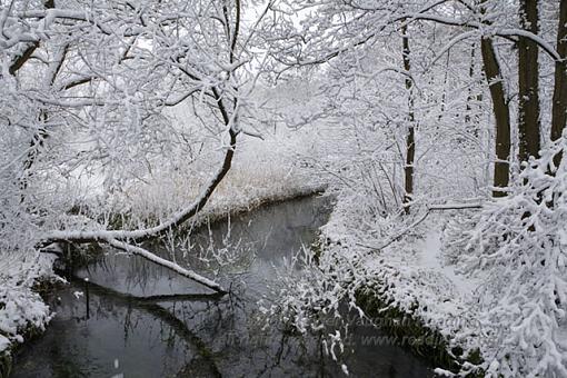 5&quot; of snow yesterday-_mg_4682-640.jpg