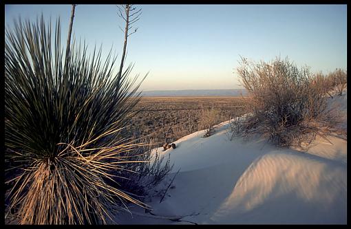 White Sands Vista-whitesands5_border_march2008.jpg